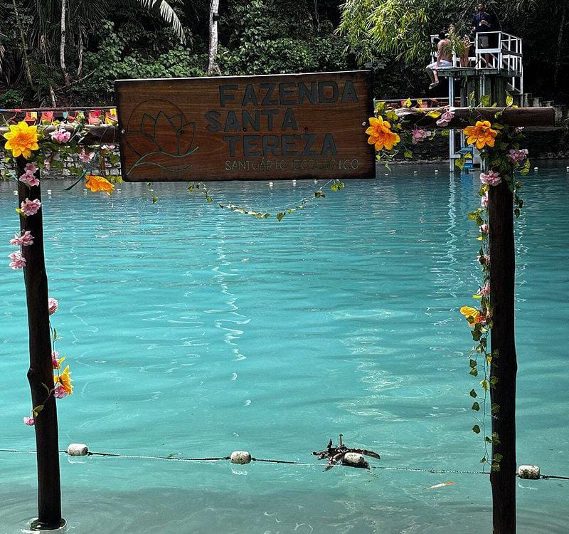 WhatsApp Image 2025-11-26 at 14.33.52.jpeg