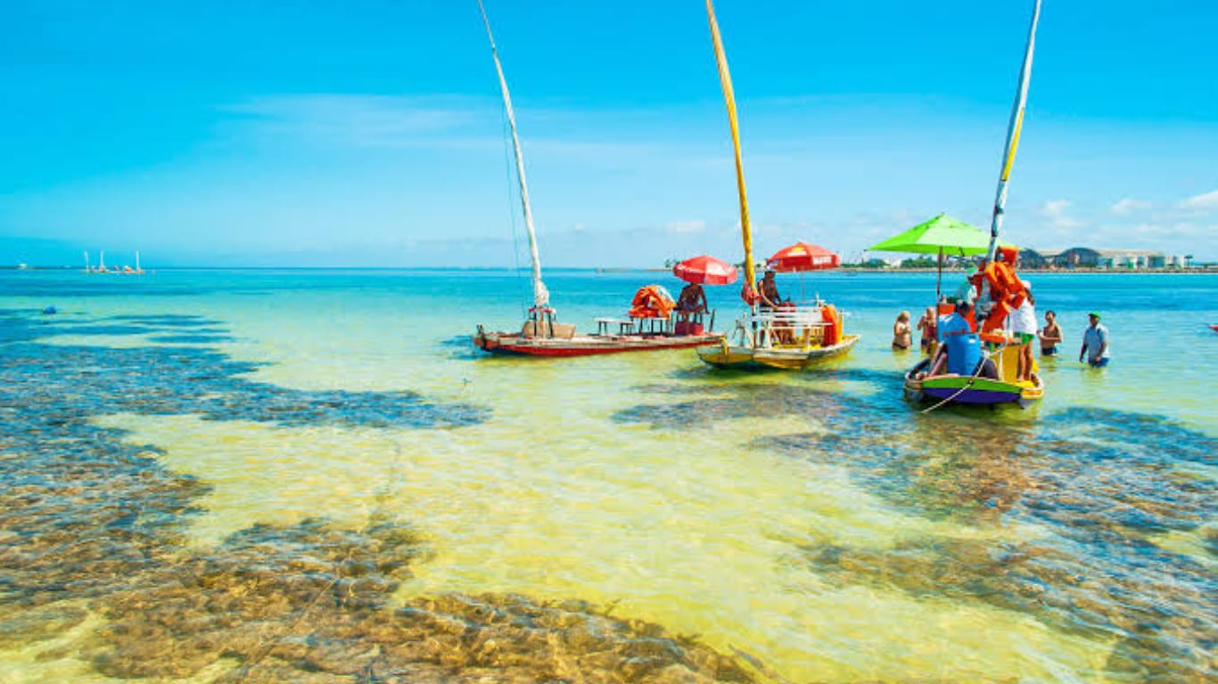 WhatsApp Image 2025-11-09 at 16.12.00.jpeg