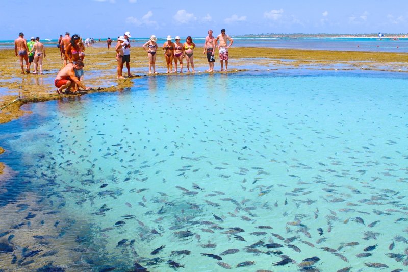 piscinas-naturais-em-porto-de-galinhas.jpg