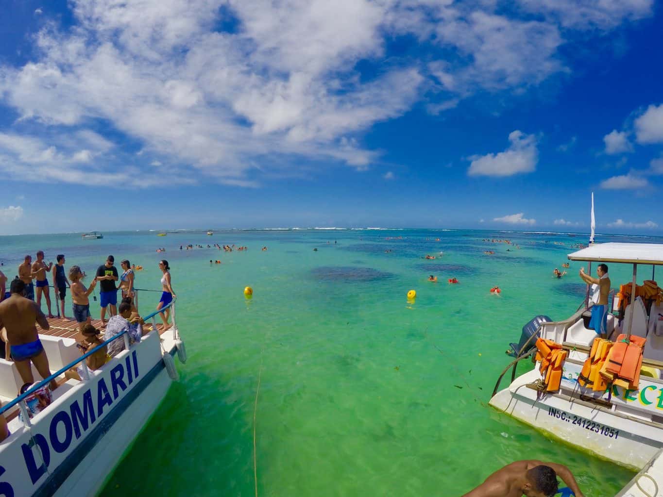 WhatsApp Image 2025-11-19 at 12.31.40.jpeg