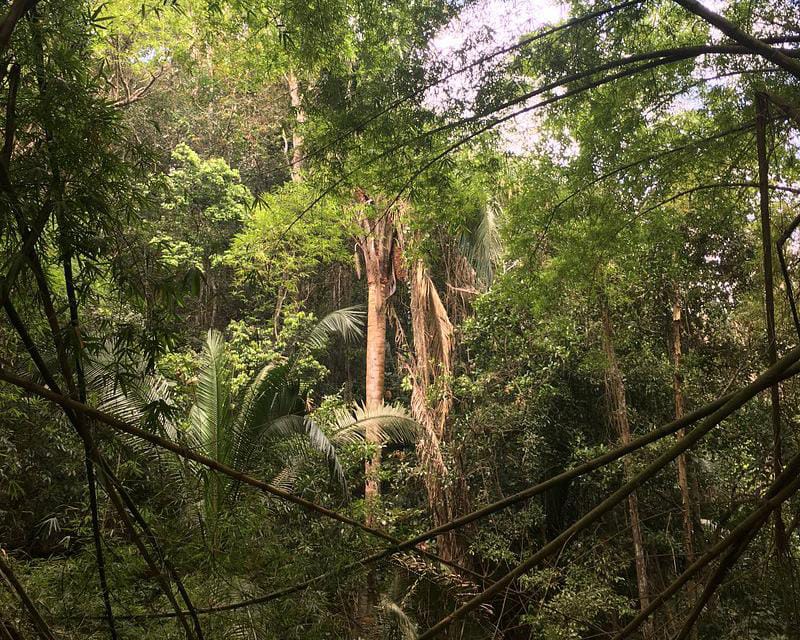 WhatsApp Image 2025-11-26 at 14.33.51 (1).jpeg