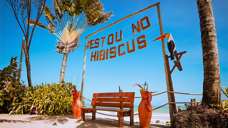 PASSEIOS - BEACH 01.jpg